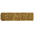 Chenille Insignia Pin - "Coach"